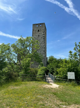 Bergfried Burg Niederhaus 